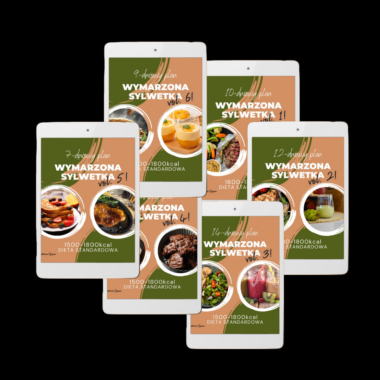 PAKIET 6 GOTOWYCH DIET STANDARDOWYCH